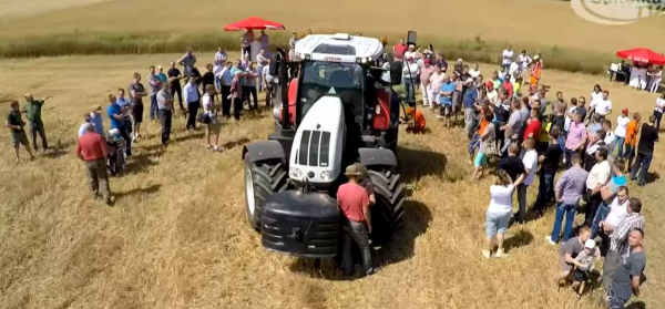 Rolnicy dotknięci suszą dostaną 1000 zł dopłaty do hektara