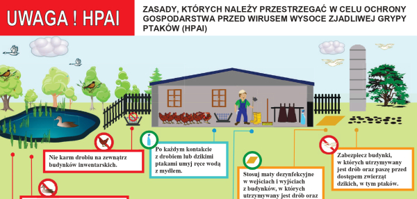Informacja dotycząca rzekomego pomoru drobiu i ptasiej grypy.