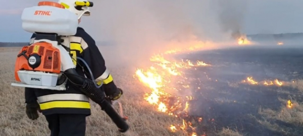 NA SYGNALE: Pożar traw w miejscowości Krasnyb&oacute;r [Film i Zdjęcia]