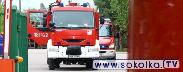 NA SYGNALE: Strażacy udzielali pomocy choremu