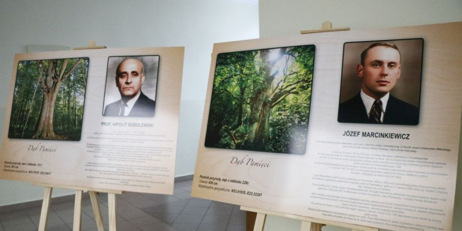 Nowe pomniki przyrody w gminie Janów. Dęby uhonorują wybitne postaci związane z regionem