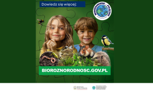 Czym jest bioróżnorodność?