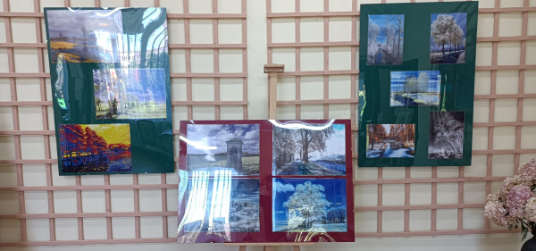 Zaproszenie na wystawę zdjęć do Biblioteki Publicznej w Sok&oacute;łce [Zdjęcia]