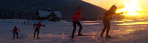 Sokólscy narciarze na zimowym obozie w Czechach [Zdjęcia]