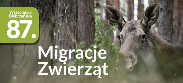 Zaproszenie na Wszechnicę Biebrzańską