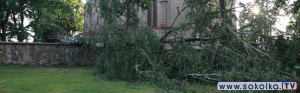 Ucierpiało drzewo przy kościele w Dąbrowie Białostockiej