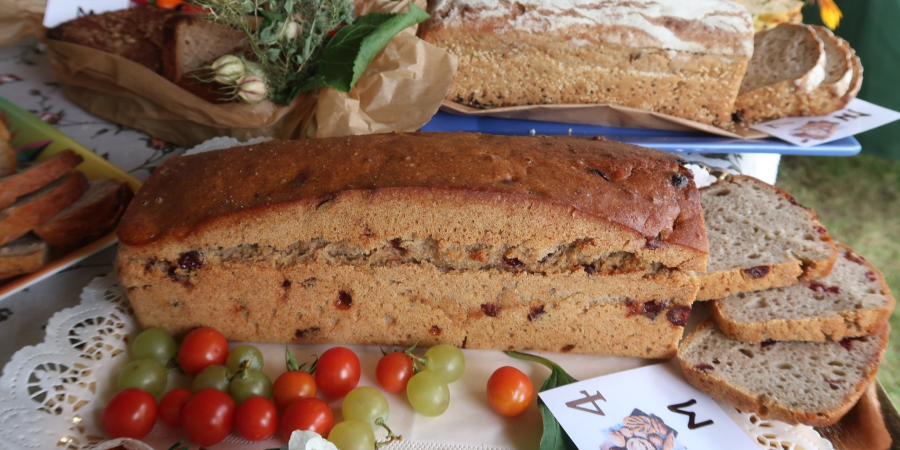 Mnóstwo atrakcji na wiejskim festynie w Wierzchlesiu