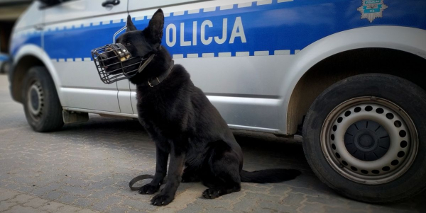 "Demon" doprowadził do uciekiniera