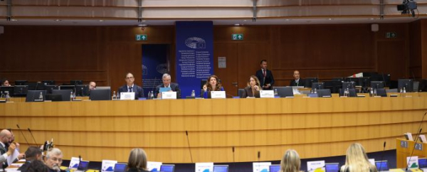 Europejskie regiony biją na alarm w sprawie demografii: trzeba zaangażować unijne fundusze