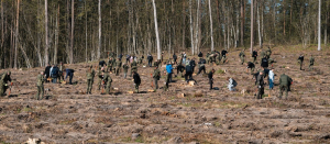 35-lecie Straży Granicznej uczczone sadzeniem drzew