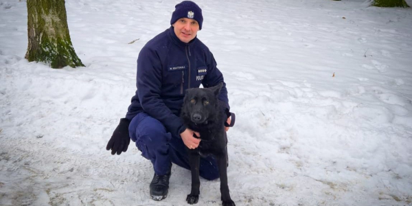 Iskierka i Diego &ndash; nowi czworonożni funkcjonariusze w sok&oacute;lskiej jednostce.