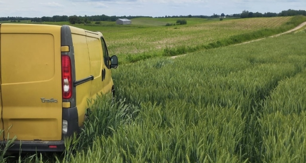 Pijany kierowca zniszczył pole kukurydzy sąsiada
