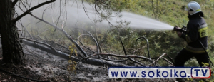 NA SYGNALE: Pożar lasu w Kozłowym Ługu [Zdjęcia]