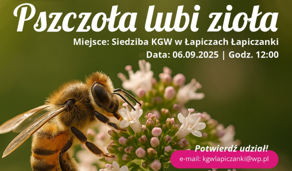 Pszczoła lubi zioła &ndash; KGW Łapiczanki zapraszają do Łapicz