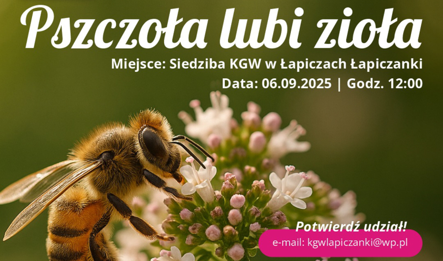 Pszczoła lubi zioła – KGW Łapiczanki zapraszają do Łapicz