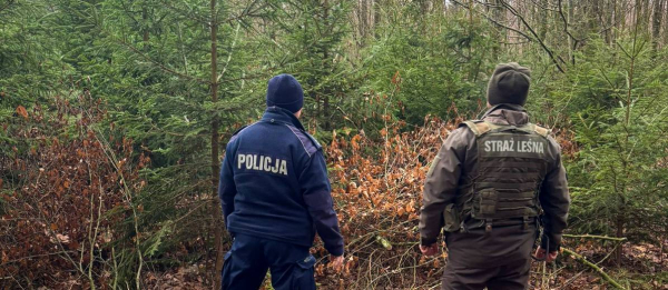 Policja przeciwdziała nielegalnej sprzedaży drzewek