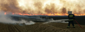 NA SYGNALE: Pożar w Ostrowiu Północnym [Zdjęcia]