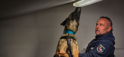 Policjanci i psy szkoleni w wykrywaniu narkotyków i materiałów wybuchowych