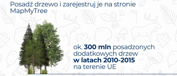 Posadź drzewo i zarejestruj je na stronie MapMyTree.