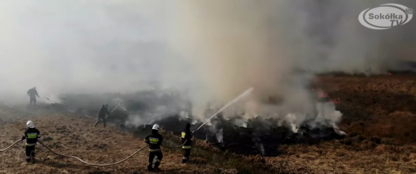 OSP dostaną nagrodę za ratowanie "serca" Biebrzy [2xFilm]