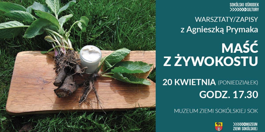 Warsztaty zielarskie w Sokółce