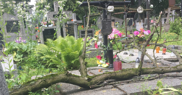 INTERWENCJA: Połamane drzewa na sokólskim cmentarzu [Zdjęcia]