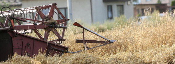 Polska samowystarczalna w produkcji zb&oacute;ż, mięsa i nabiału