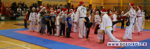 Mikołajkowe zmagania w Taekwondo w Dąbrowie Białostockiej [Zdjęcia]
