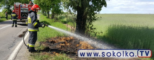 NA SYGNALE: Pożar na trasie Sokółka - Kraśniany [Zdjęcia]