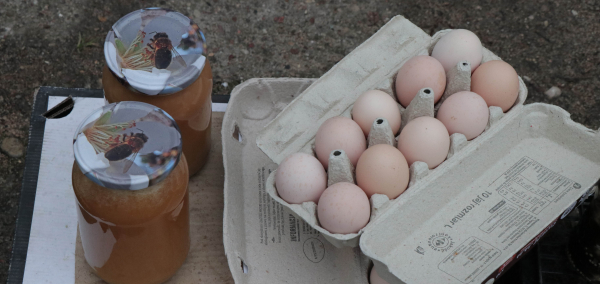 Pierwsza Targowica Sok&oacute;lska w tym roku [Film, Zdjęcia]