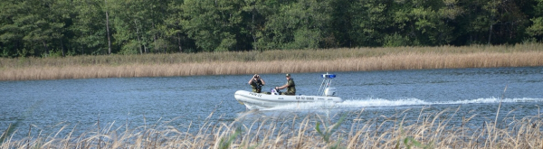 Wczoraj na terytorium Polski z Białorusi pr&oacute;bowało nielegalnie przedostać się 23 cudzoziemc&oacute;w