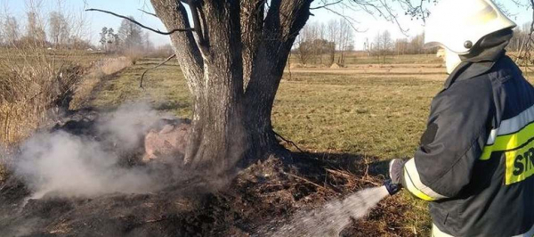NA SYGNALE: Pożat trawy w Janowie [Zdjęcia]