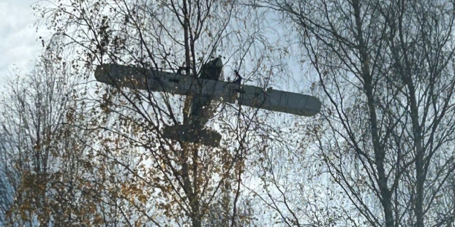 Dron z kontrabandą rozbił się na drzewie. W środku były setki paczek papierosów