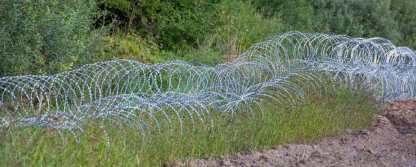 Szef MSWiA: sprawcy, kt&oacute;rzy przerwali ogrodzenie na granicy poniosą wszelkie konsekwencje swoich działań