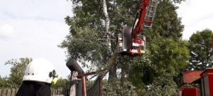 NA SYGNALE: Połamane drzewo w miejscowości Szczęsnowicze [Zdjęcia]