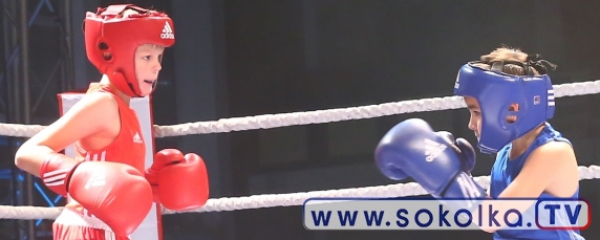 Sokółka Boxing Show: Mali gladiatorzy zmierzyli się na ringu [Zdjęcia]