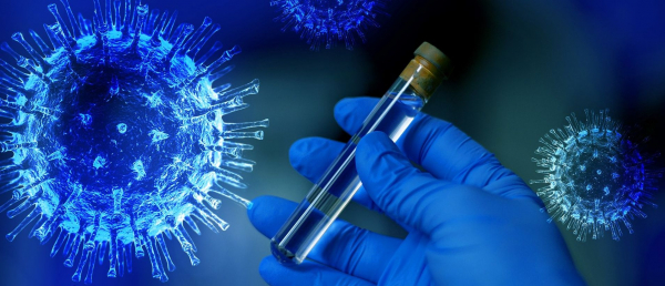 Zdjęcie:pixabay.com