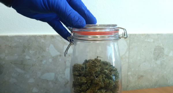 Policjanci zabezpieczyli łącznie 66 gramów marihuany