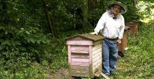Z kamerą wsród pszczół: cz. III: Pszczoły pracowici strażnicy natury [Film]
