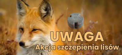 UWAGA! Będzie zrzucana szczepionka przeciw wściekliźnie