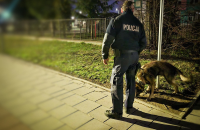 Policyjny pies Niko pomógł zatrzymać włamywacza