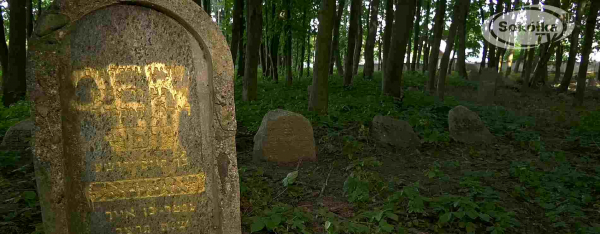 Wandalizm na żydowskim cmentarzu [Film]