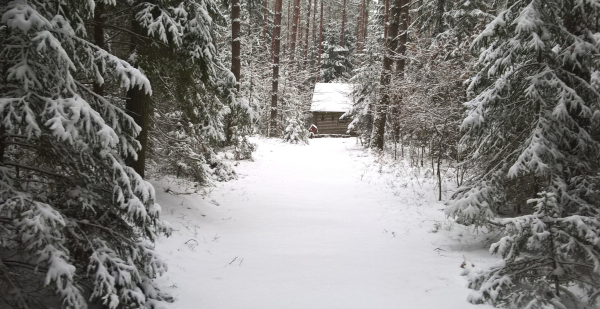 Zaproszenie na spacer literacki z cyklu &quot;Cztery pory roku w arboretum&quot;.