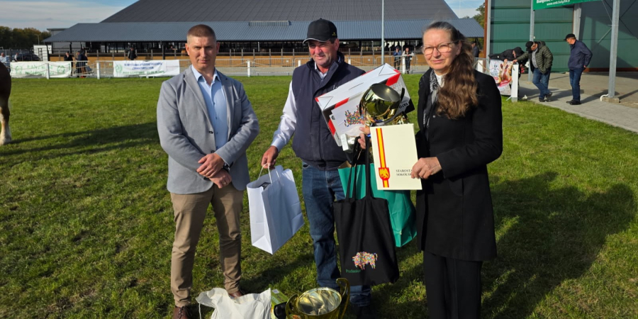 Konie z powiatu sokólskiego na podium podczas 70. Wystawy–Sprzedaży Ogierów Zimnokrwistych w Szepietowie