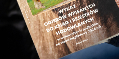 Hodowcy koni podsumowali rok. Spadek pogłowia i nadzieja na poprawę rynku.