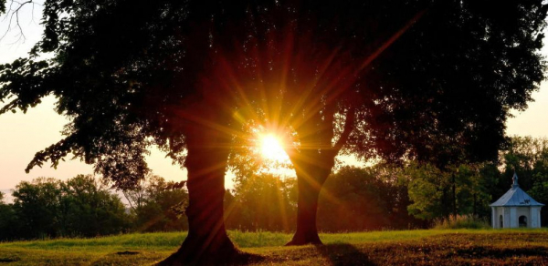 Synoptyk IMGW: w dzień liczne przejaśnienia, w nocy deszcz w większości wojew&oacute;dztw