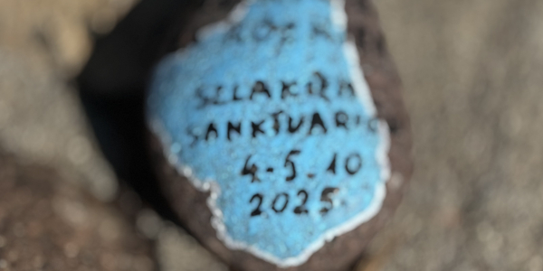 Rajd &bdquo;Podlaskie za k&oacute;łkiem &ndash; Szlakiem Sanktuari&oacute;w&rdquo; zawitał dziś do Sok&oacute;łki.