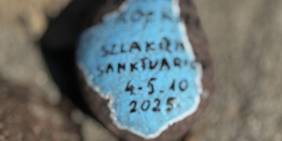 Rajd „Podlaskie za kółkiem – Szlakiem Sanktuariów” zawitał dziś do Sokółki.