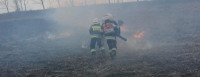 NA SYGNALE: Ogień objął około 0.5 ha nieużytków [Zdjęcia]