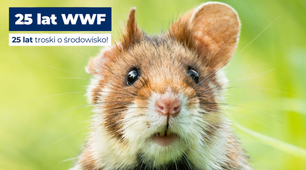 25 lat WWF Polska – Pasja, która zmienia świat na lepsze.